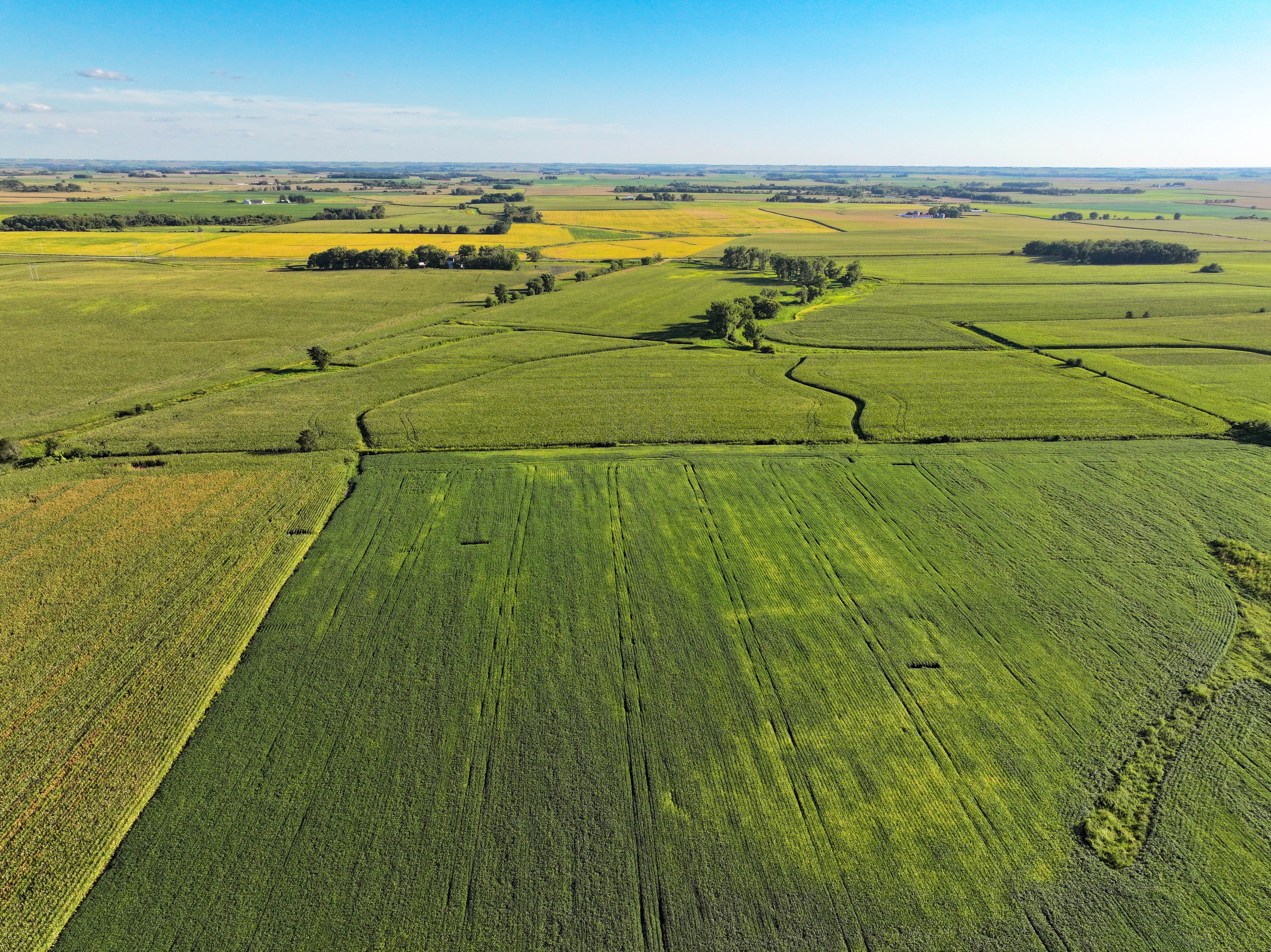 Listing Photo: 11-Fayette County IA Land Auction